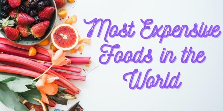 Top 10 Most Expensive Foods in the World | Jaborejob